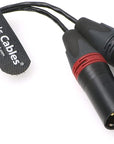 Ta5f to Dual XLR 3-Pin Male Audio-Cable for Lectrosonics-DCHR-Receiver to Sony-Fs700 Alvin’s Cables