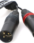 Ta5f to Dual XLR 3-Pin Male Audio-Cable for Lectrosonics-DCHR-Receiver to Sony-Fs700 Alvin’s Cables