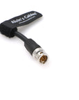 SDI-Protector for RED-Komodo SDI-Port-Protection-Cable Galvanic-Isolators BNC Male to Female Cord 8Inch|20CM Alvin’s Cables