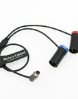 Alvin’s Cables TA5F to Dual Low-Profile XLR Audio-Cable for Wysicom-MCR54, Lectrosonics-DCHR-Receiver TA5-F to Dual XLR 3pin Output Cable for SR Slot-In Receiver