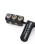 Power-Splitter-Box for Steadicam Zephyr|Archer2 Sled 3-Pin-Male to 3-Pin-Female 2×2-Pin-Female Power-Cable for ARRI RED Teradek SmallHD Alvin’s Cables