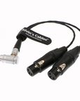Alvin's Cables Breakout Audio Input Output Cable for Atomos Shogun Monitor Recorder 10 Pin Male to 4 XLR 3 Pin