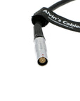 LCD EVF 16 Pin Female Extension Cable for Red Epic Scarlet W DSMC 2 Straight to Straight Alvin's Cables