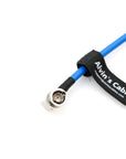 SDI-Protector for RED-Komodo SDI-Port-Protection-Cable Galvanic-Isolators BNC Male to Female Cord 8Inch|20CM Alvin’s Cables