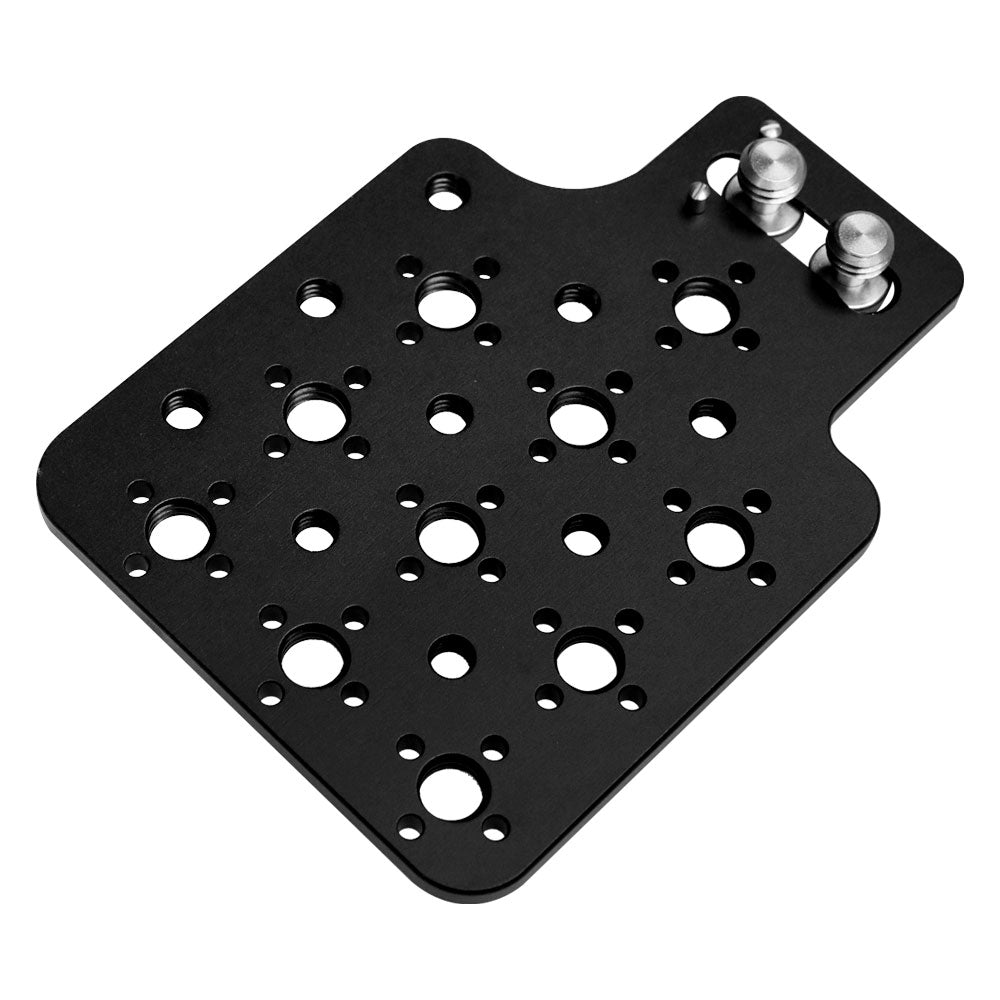 Alvin’s Cables Multifunctional Cheese Plate with 3/8 1/4 Threads, Side Mounting Plate for ARRI RED Camera with 3/8’’ Screws-A0124