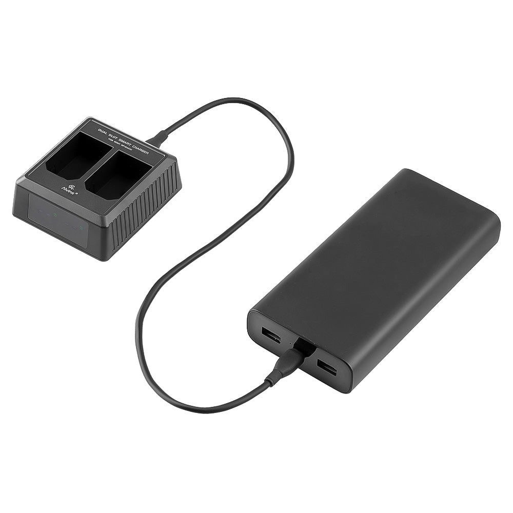 Alvin's Cables Dual Slot Charger for Sony NP-SA100 Battery with USB-C Cable