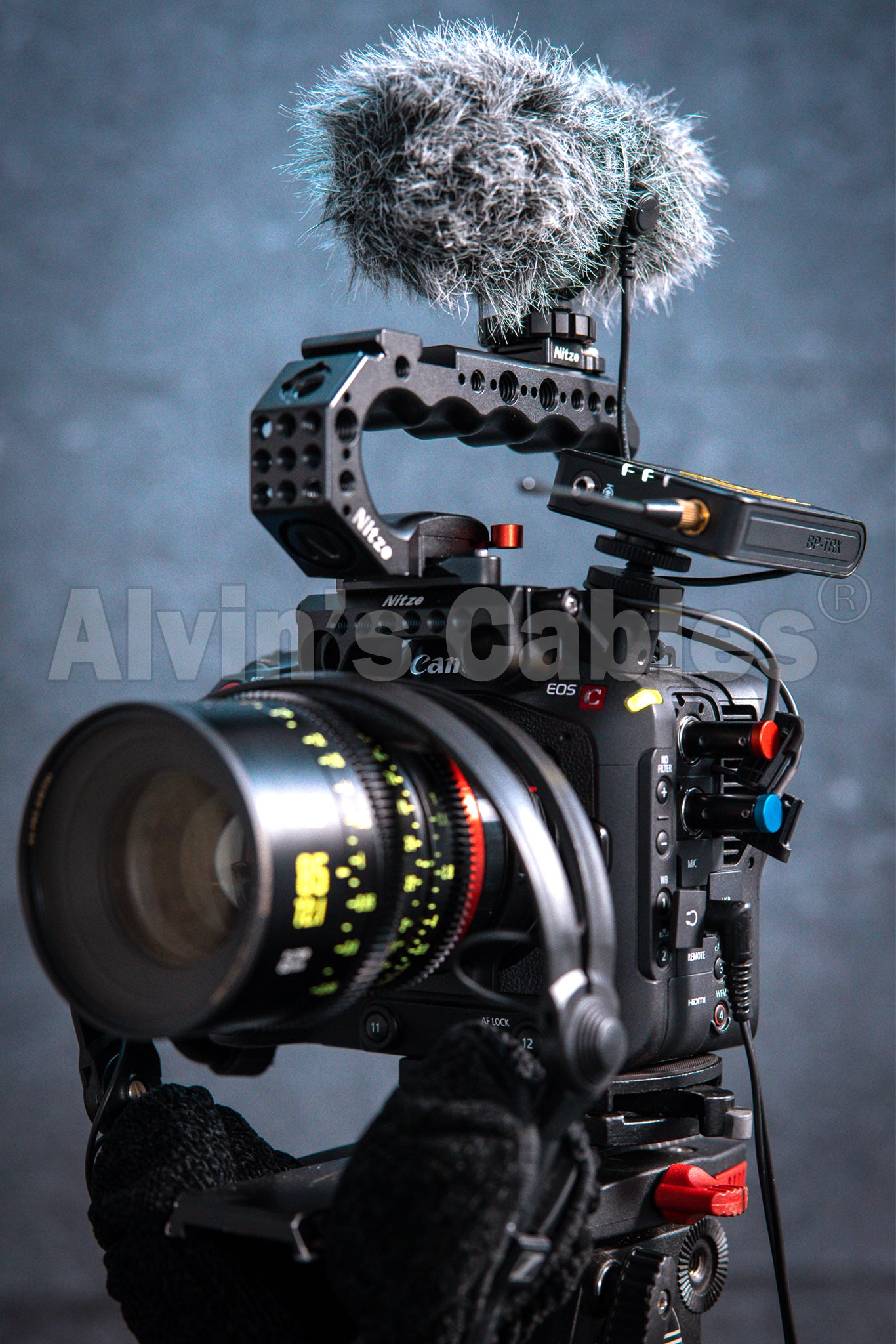 Alvin&#39;s Cables Low-Profile TA3M Mini-XLR 3-Pin Male to 3.5mm-TRS-Locking Audio-Cable for Canon-EOS-C70 from Deity BP-TRX Sennheiser-EK-100 G4|G3 20cm|8inches Black|Red|Blue
