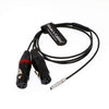 Alvin's Cables Zwei XLR 3-polige Buchse auf 5-poligen Stecker Audio-Eingangskabel für Arri Alexa Mini