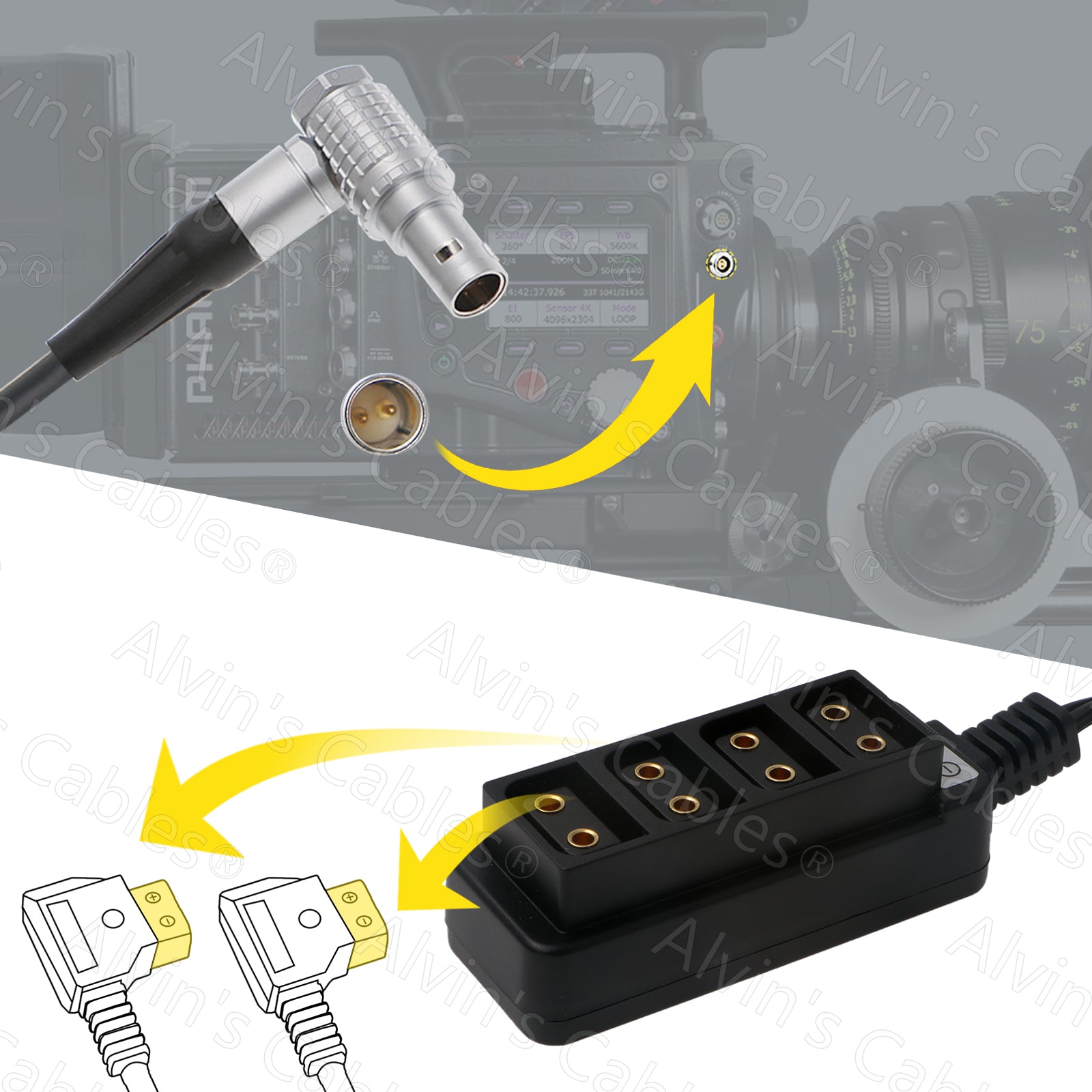 2-Pin to 4 D-Tap Female Breakout-Splitter Power-Cable with Regular for Phantom-Flex4K|ARRI RED DSMC2 Jetpack|RTmotion Sidekick 2Pin Male to 4-Port Dtap 12V Output Avin&#39;s Cables
